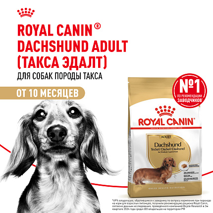 Royal Canin Dachshund Adult Корм сухой для взрослых собак породы Такса от 10 месяцев, 7,5 кг